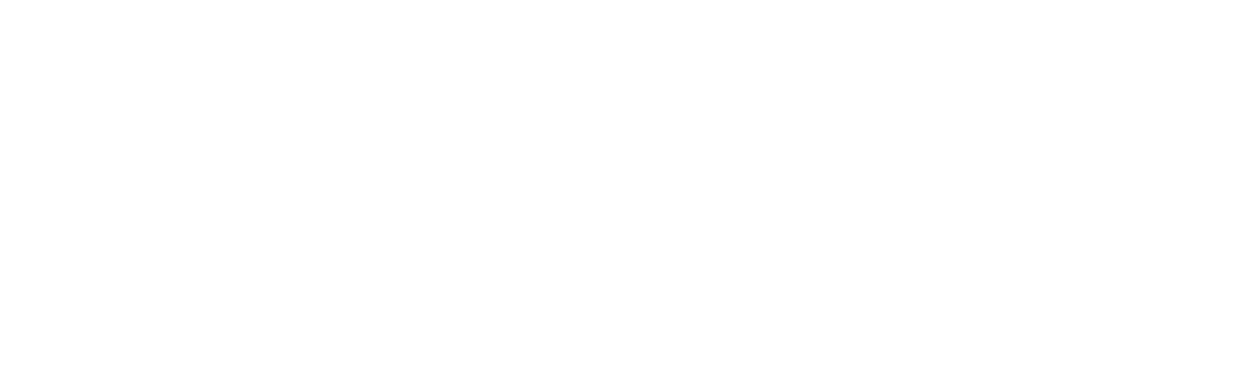 NAQUTH logo